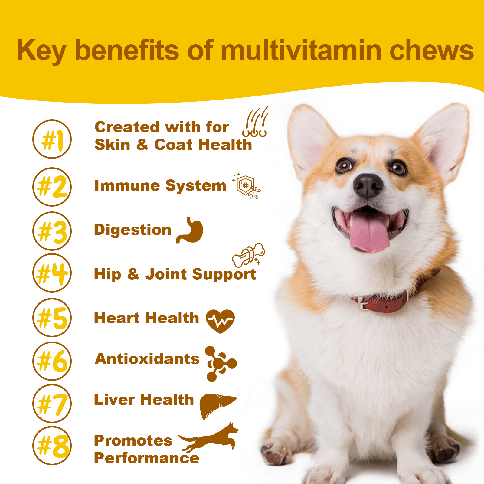 Multivitamin Complete Chews
