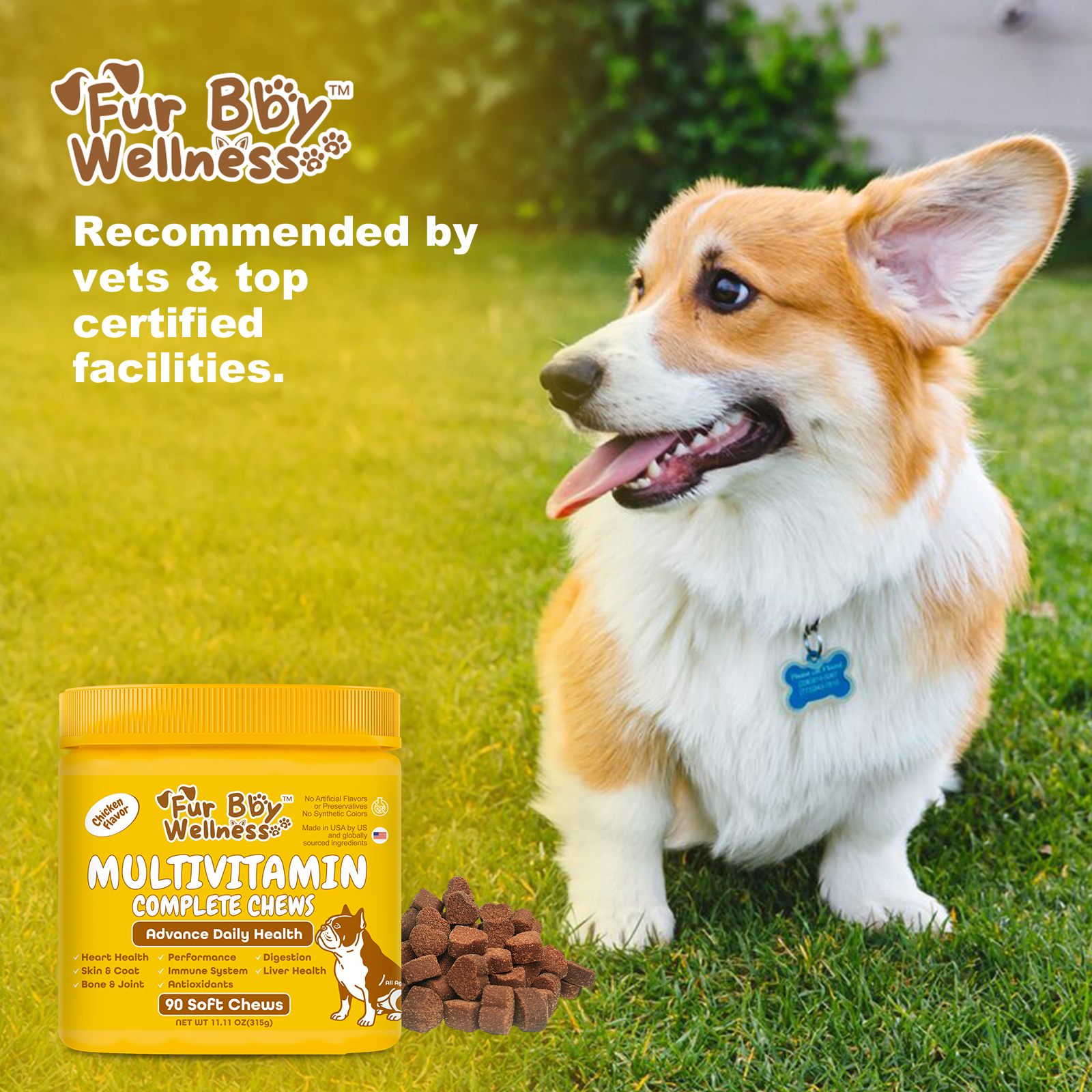 Multivitamin Complete Chews