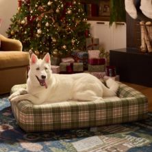 Dog Beds