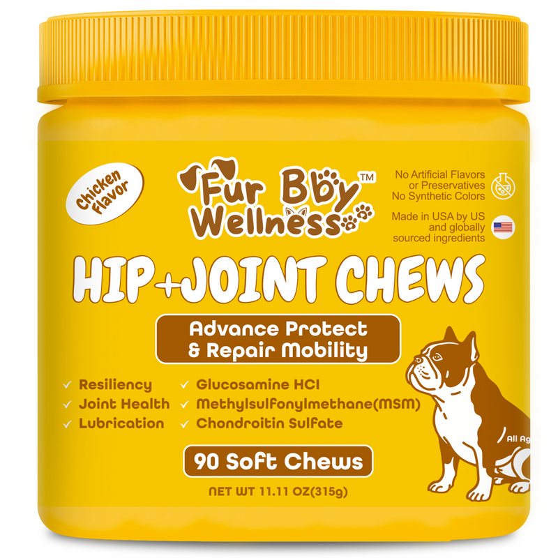 Hip + Joint Chews for Dogs – Advanced Joint Support for Active & Senior Dogs