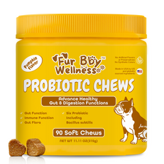 Probiotic Chews for Dogs – Pumpkin Flavor for Gut Health & Immunity