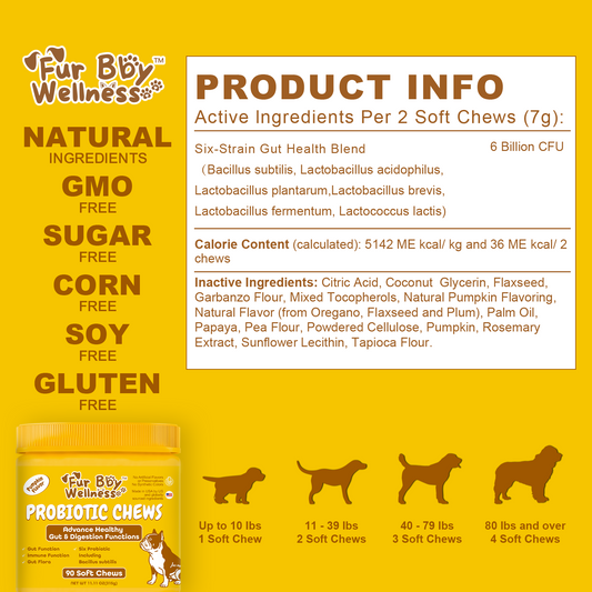 Probiotic Chews for Dogs – Pumpkin Flavor for Gut Health & Immunity