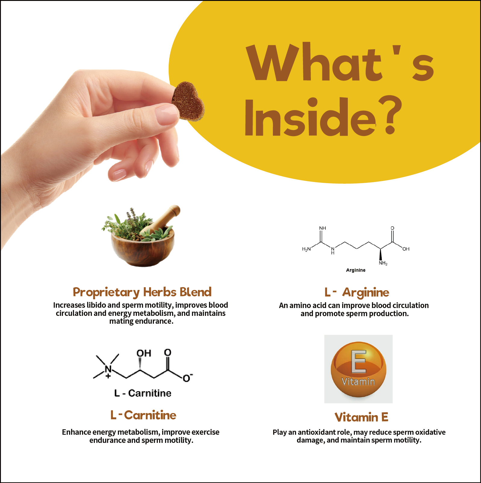 Super Stud Chews-Reproductive Health Supplement for Dogs – Boost Fertility & Vitality