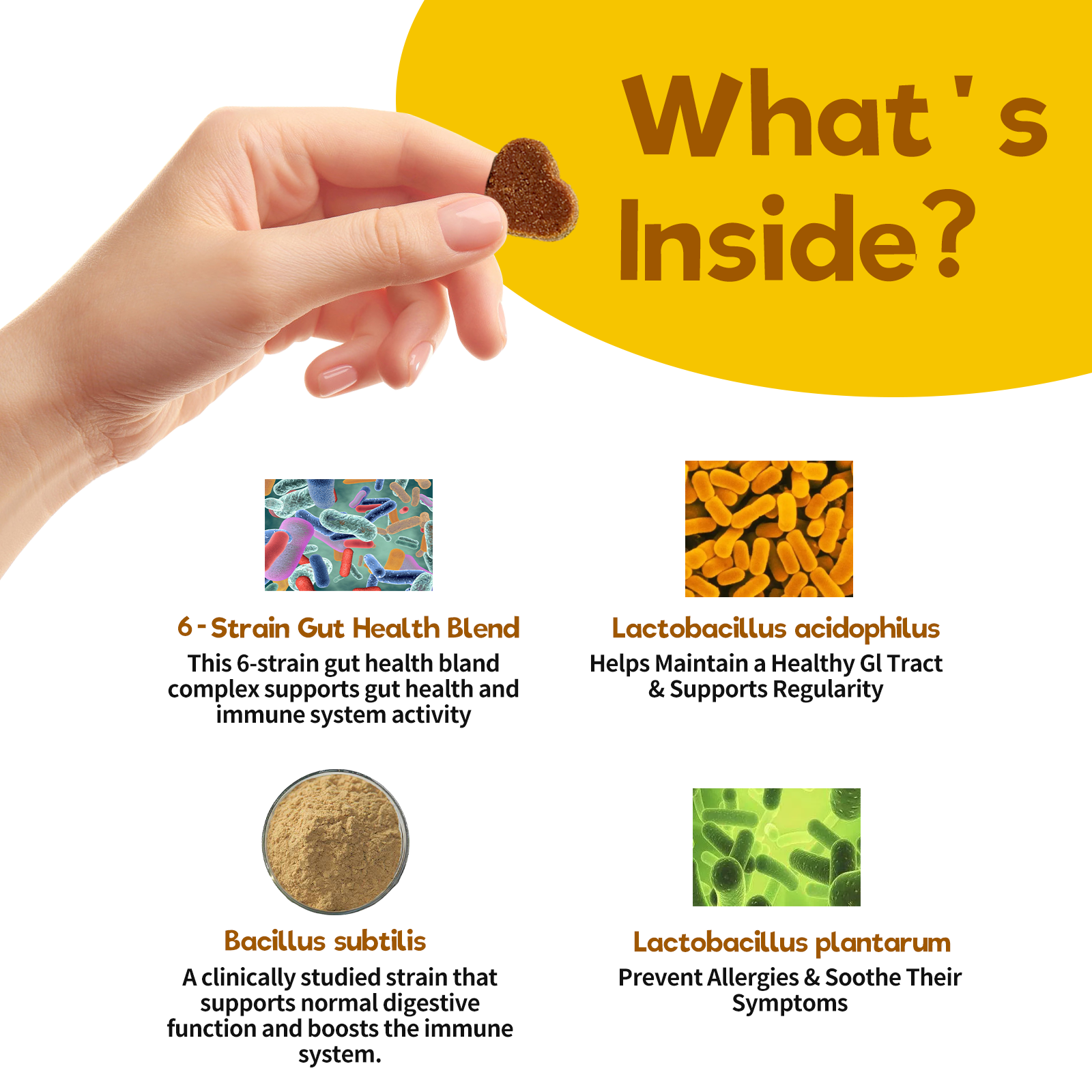 Probiotic Chews for Dogs – Pumpkin Flavor for Gut Health & Immunity