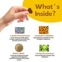Probiotic Chews for Dogs – Pumpkin Flavor for Gut Health & Immunity