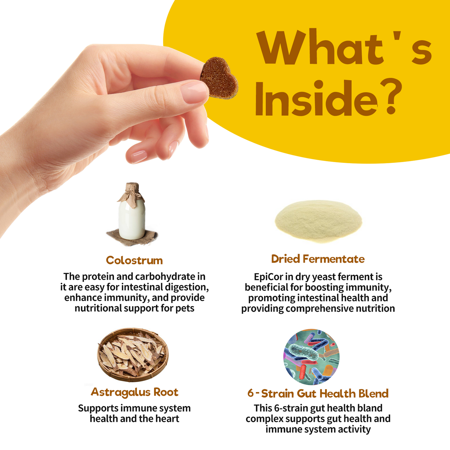 Allergy + Immune Chews for Dogs – Relief & Immune Support