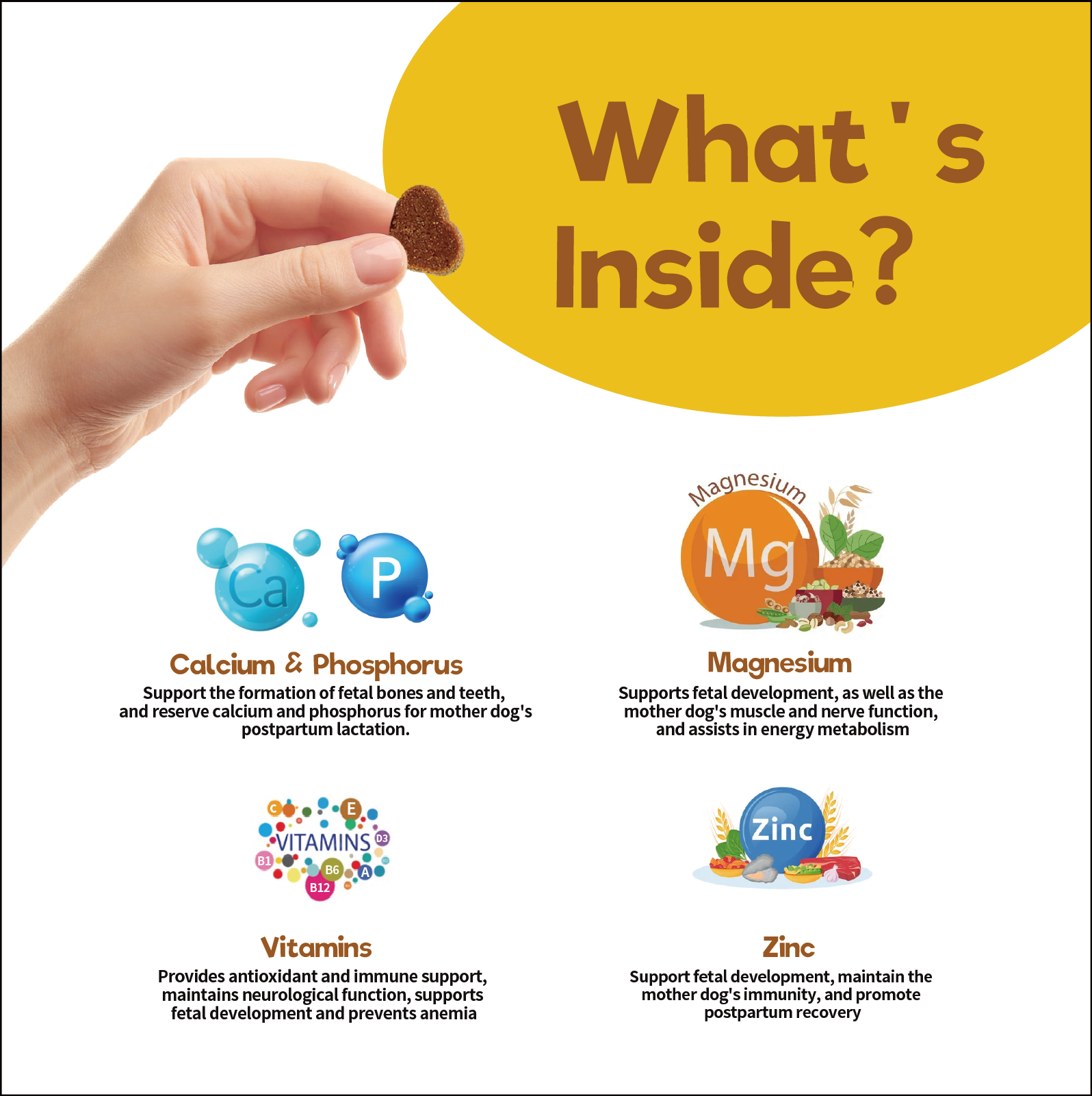 Prenatal Chews for Dogs – Essential Nutritional Support for Pregnancy & Puppies