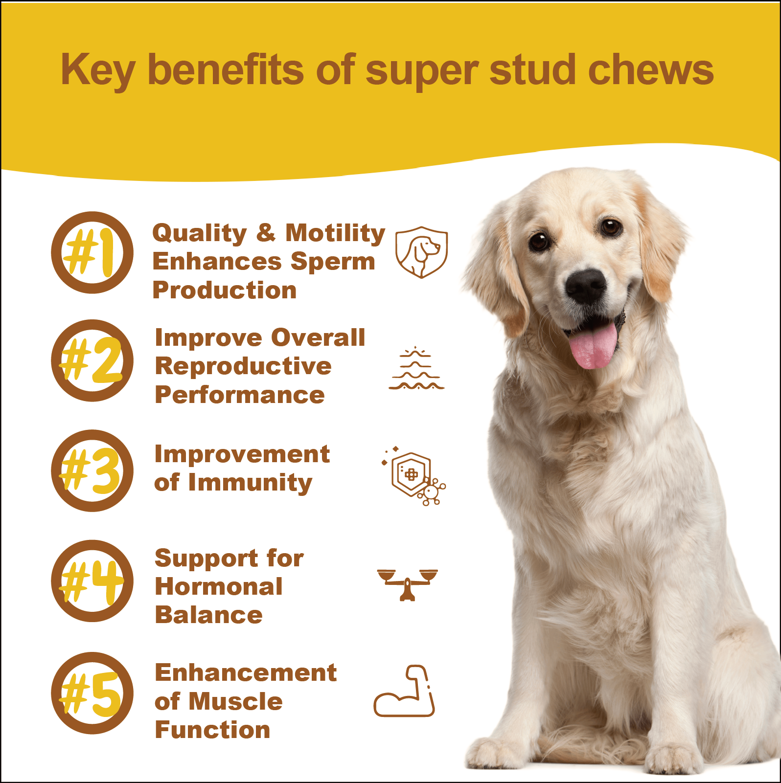 Super Stud Chews-Reproductive Health Supplement for Dogs – Boost Fertility & Vitality