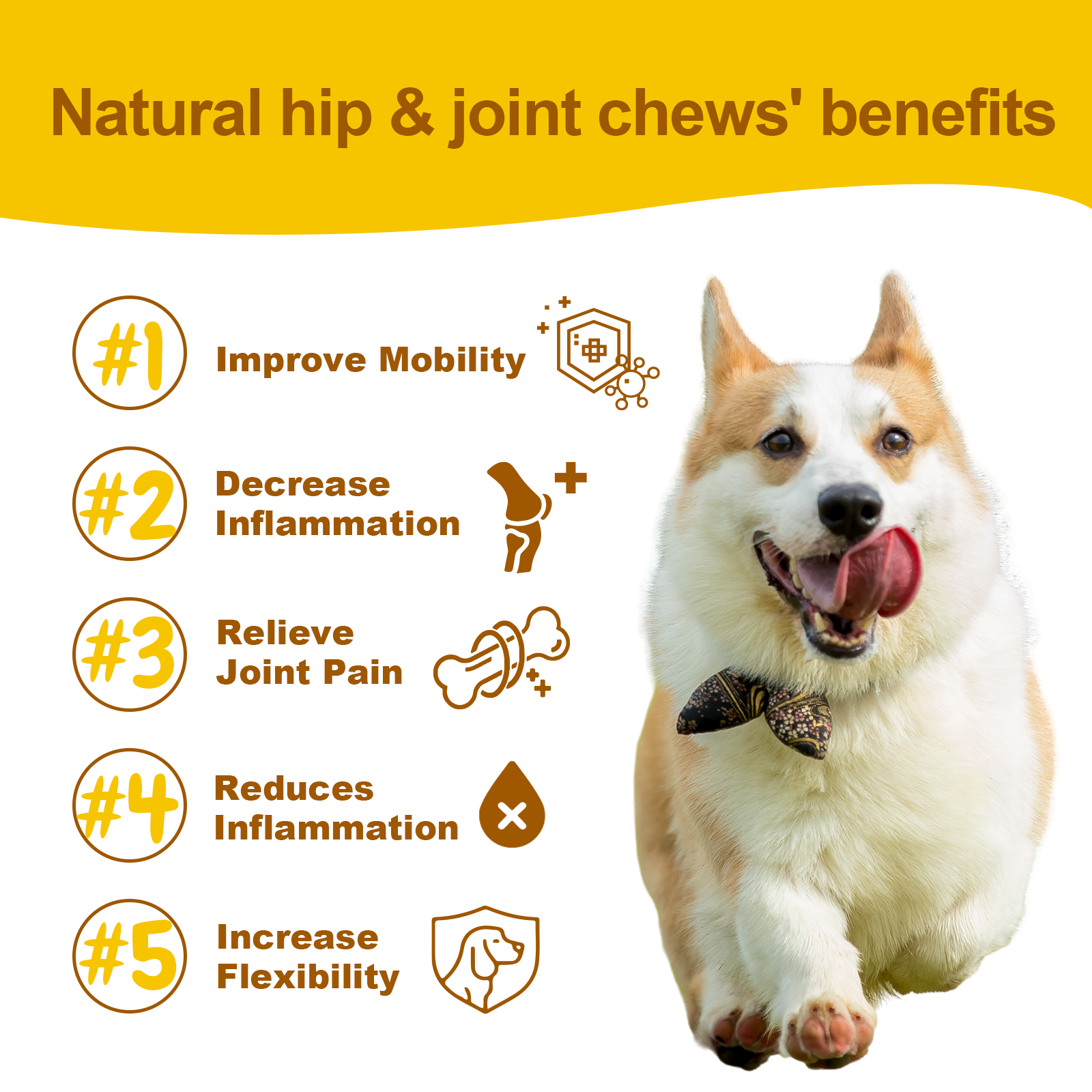 Hip + Joint Chews for Dogs – Advanced Joint Support for Active & Senior Dogs