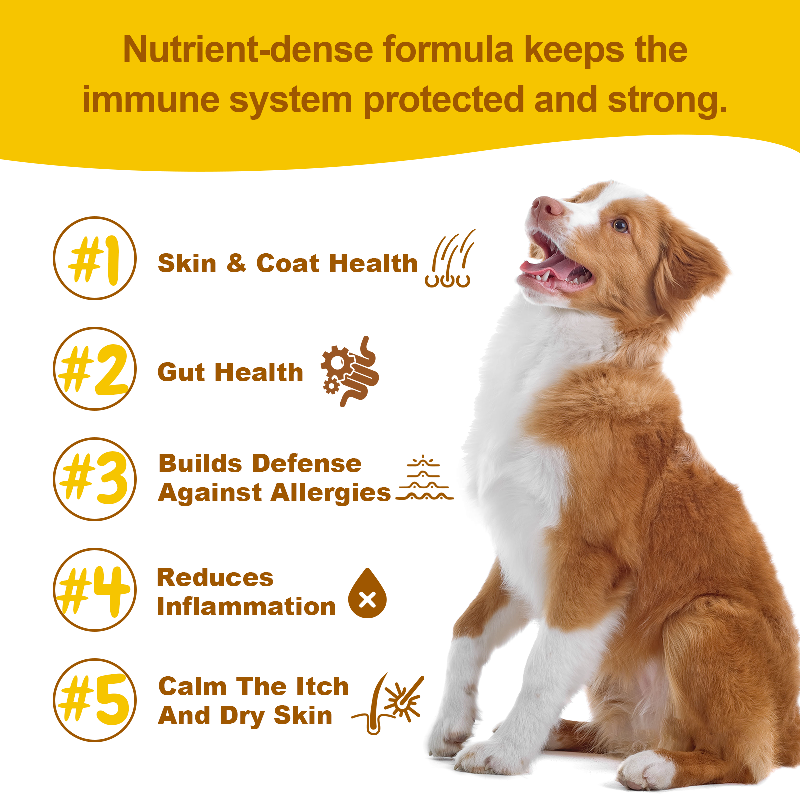 Allergy + Immune Chews for Dogs – Relief & Immune Support