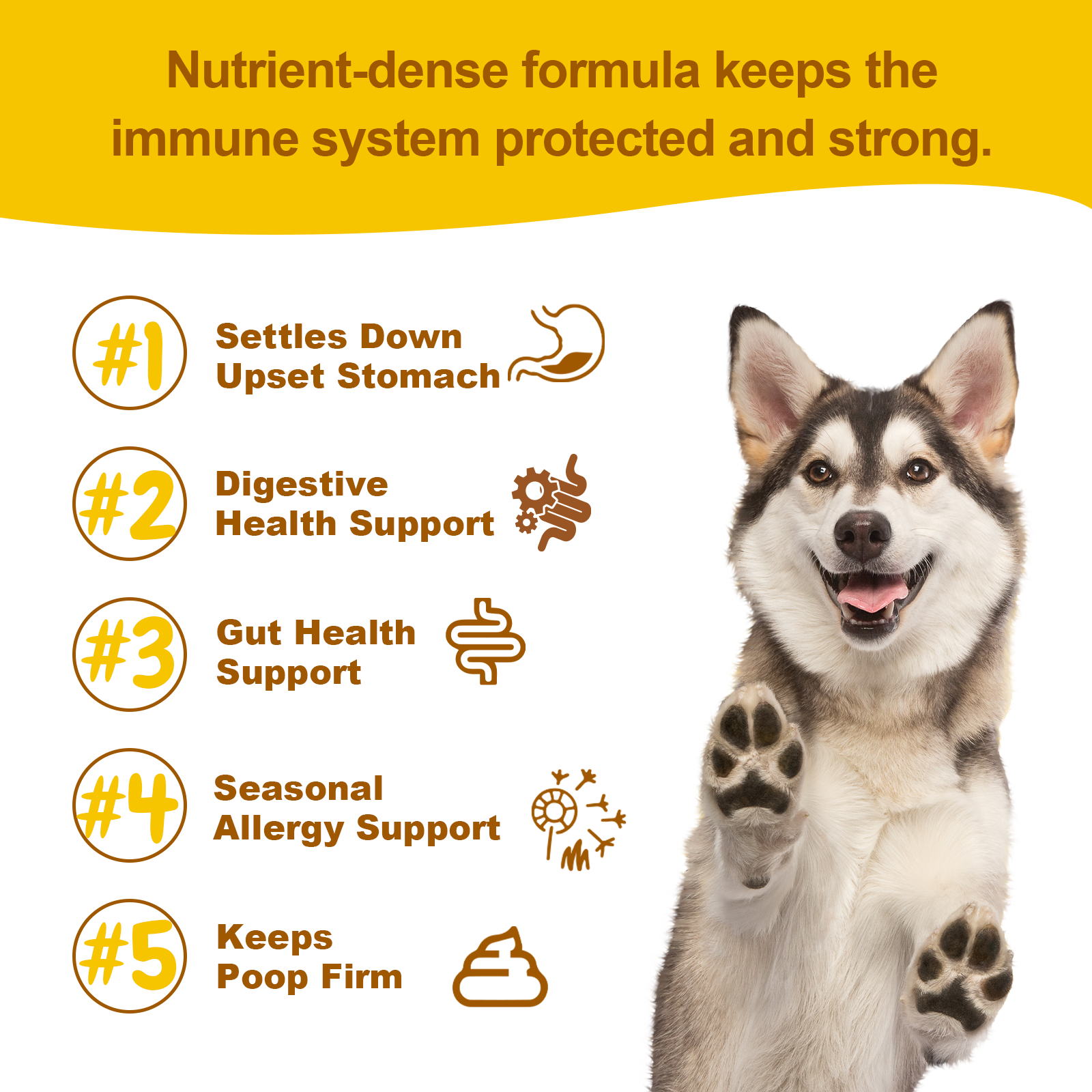 Probiotic Chews for Dogs – Pumpkin Flavor for Gut Health & Immunity
