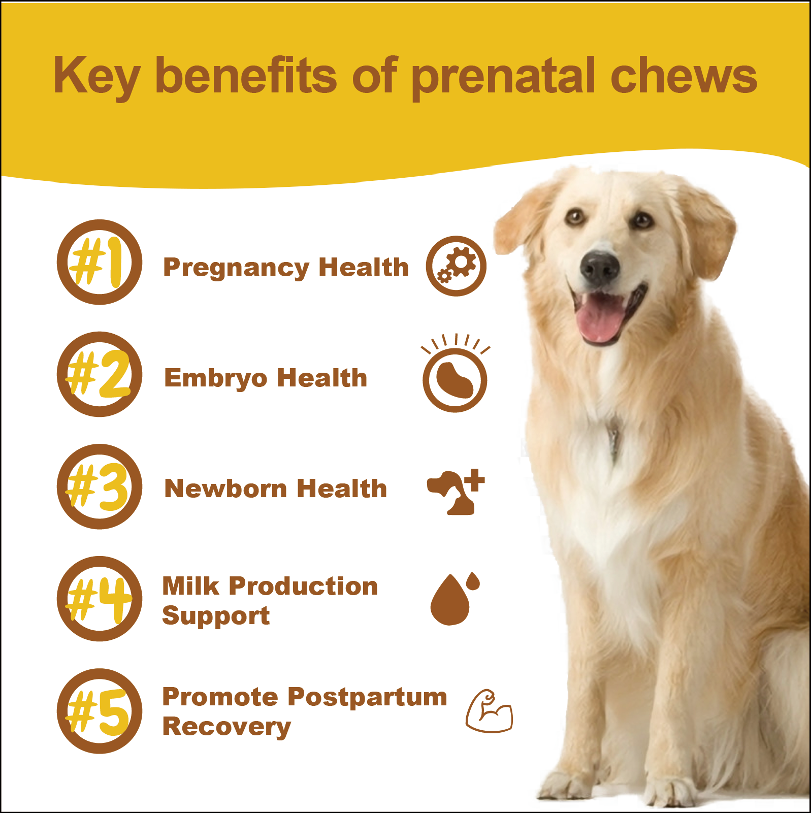 Prenatal Chews for Dogs – Essential Nutritional Support for Pregnancy & Puppies