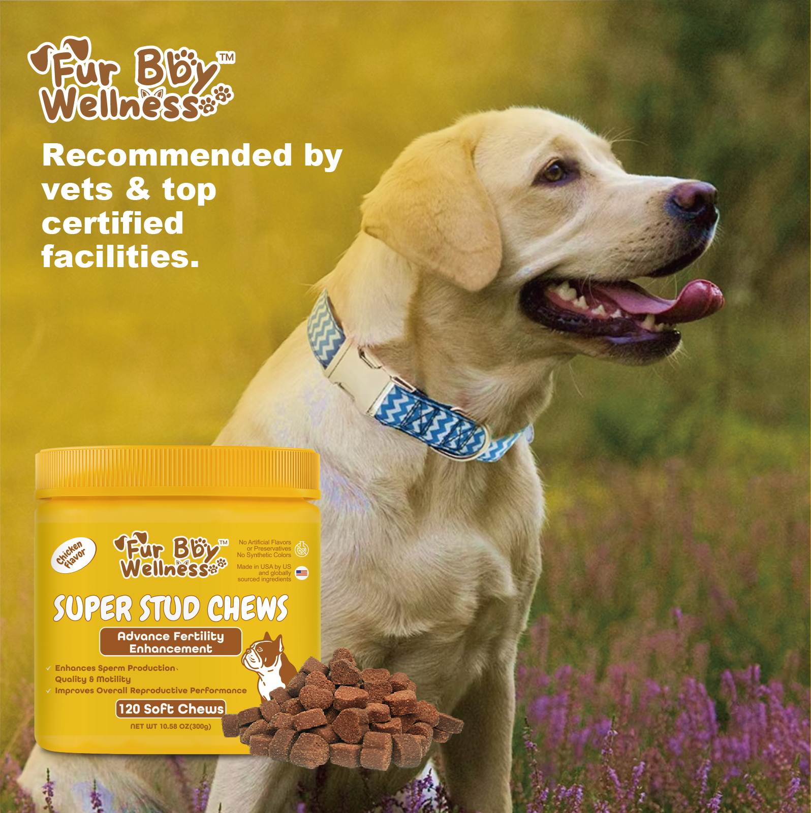 Super Stud Chews-Reproductive Health Supplement for Dogs – Boost Fertility & Vitality