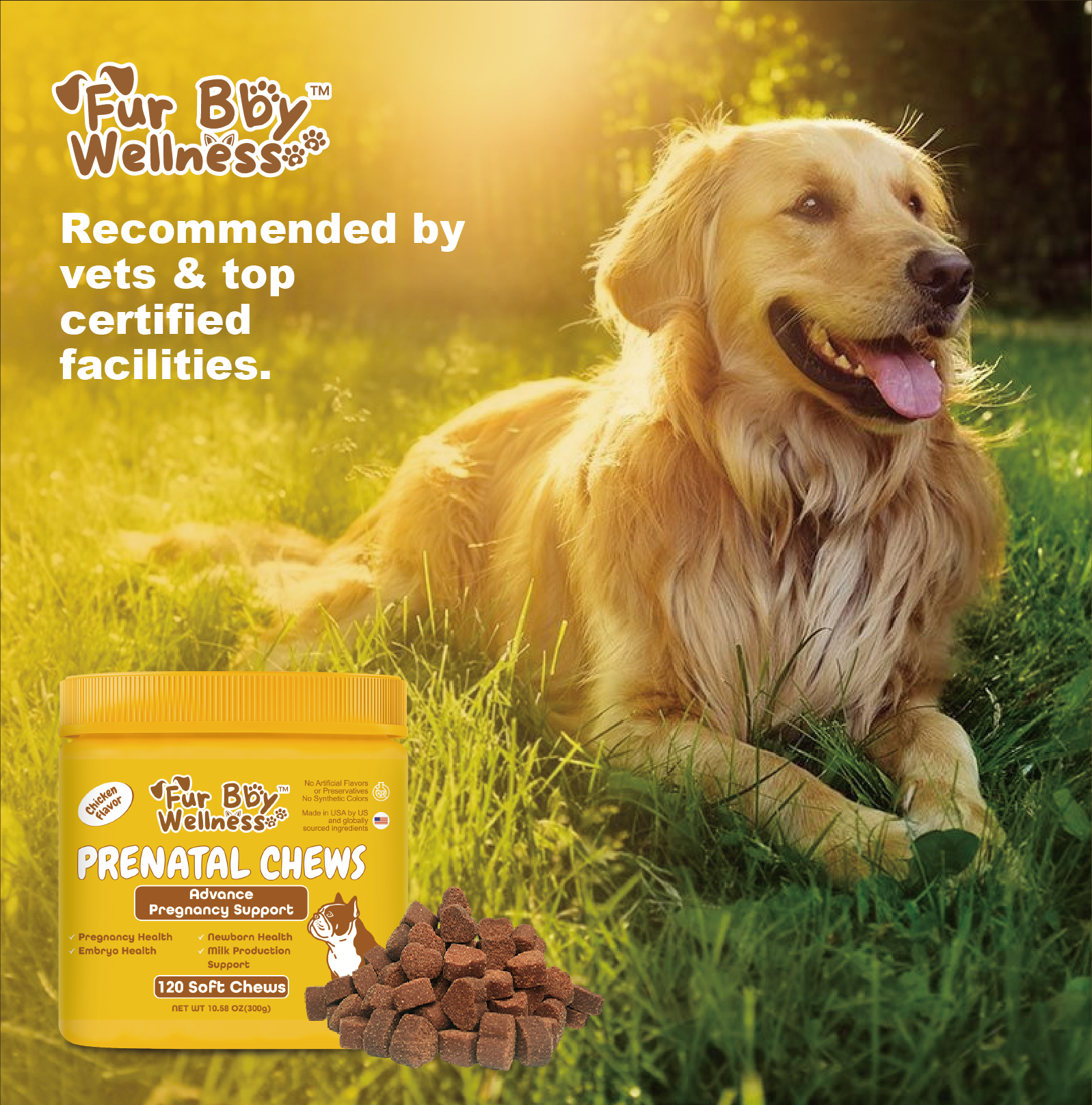 Prenatal Chews for Dogs – Essential Nutritional Support for Pregnancy & Puppies