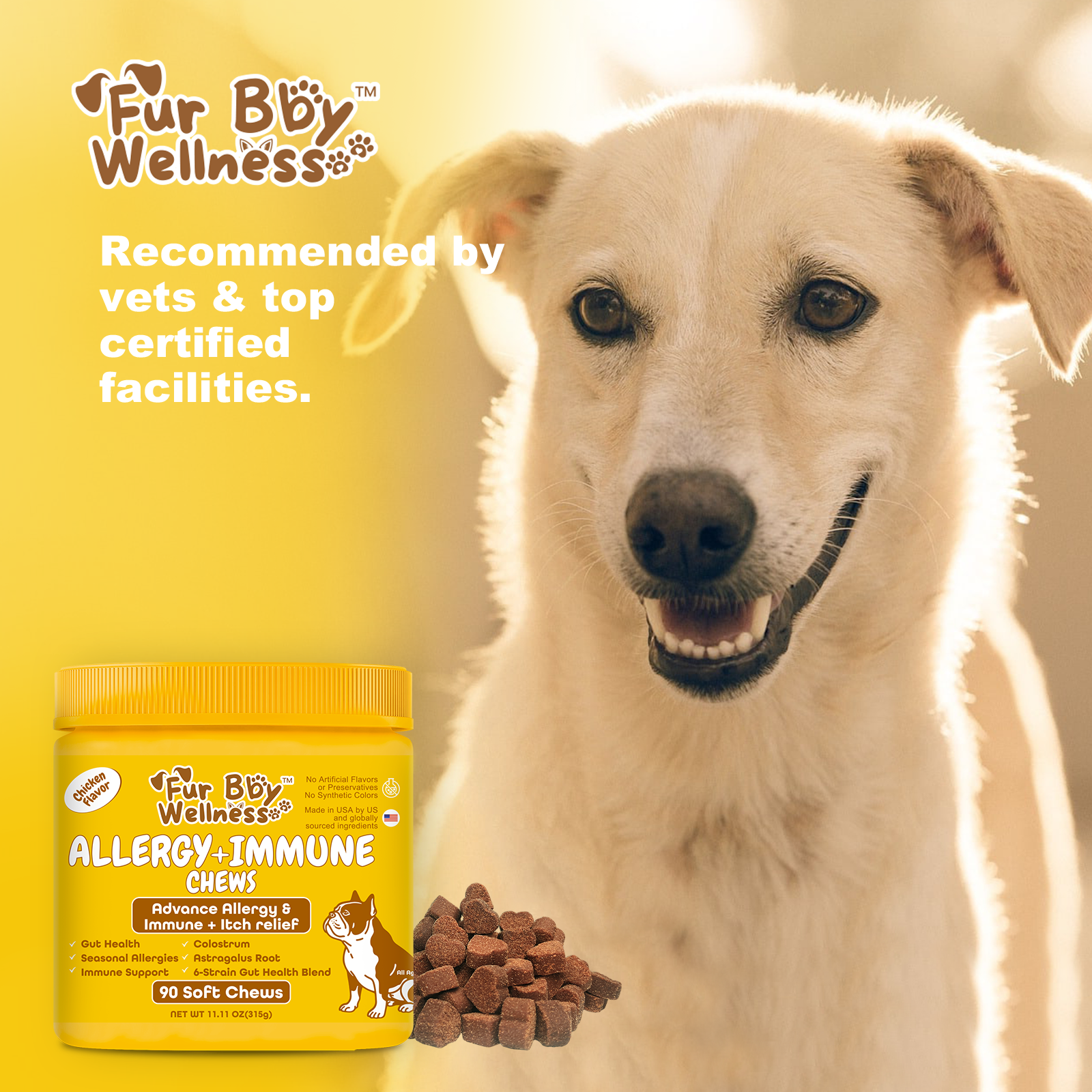 Allergy + Immune Chews for Dogs – Relief & Immune Support