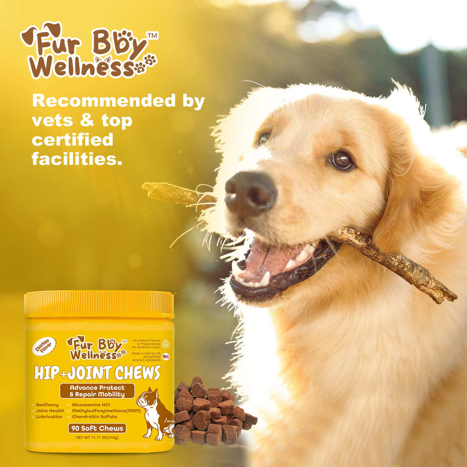 Hip + Joint Chews for Dogs – Advanced Joint Support for Active & Senior Dogs