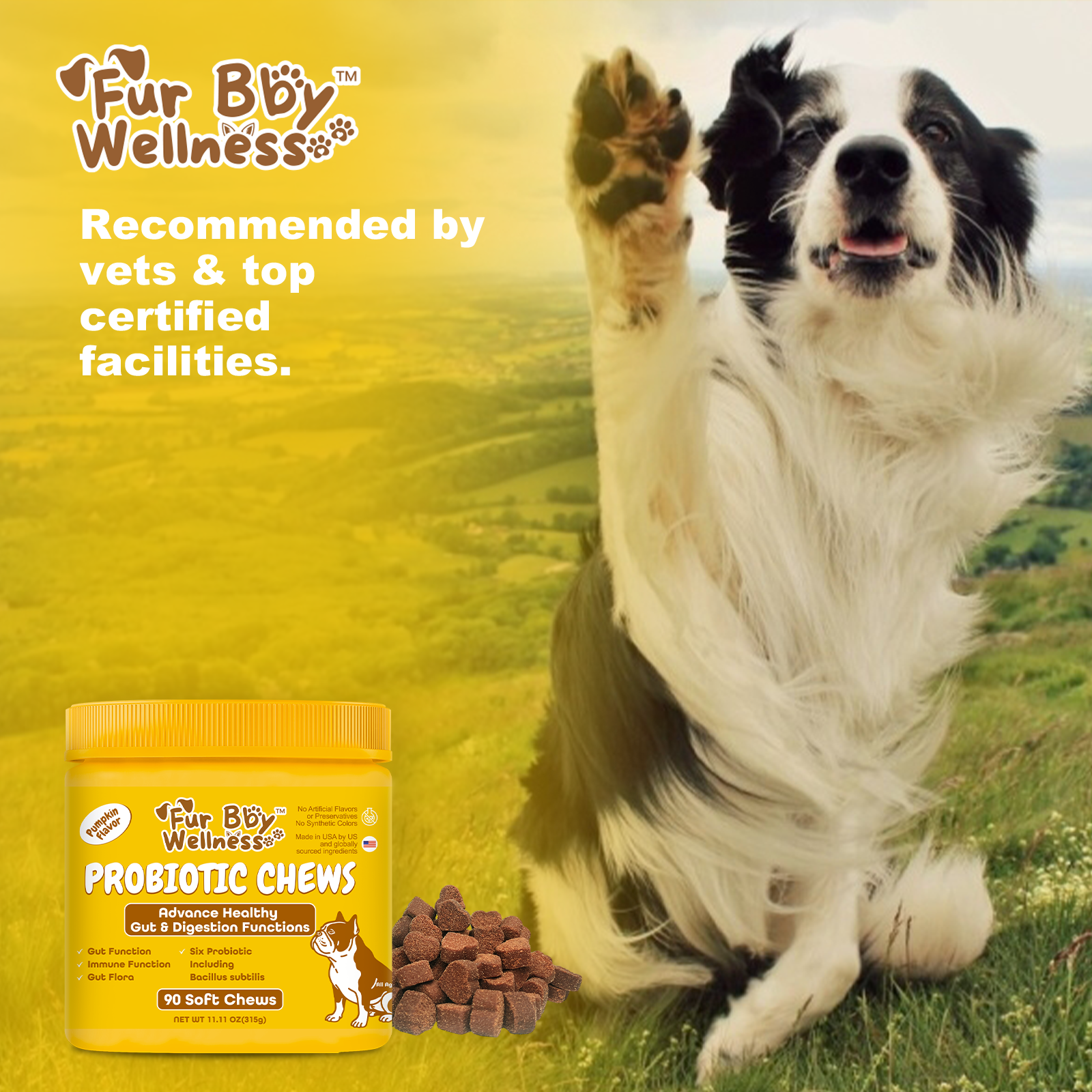Probiotic Chews for Dogs – Pumpkin Flavor for Gut Health & Immunity