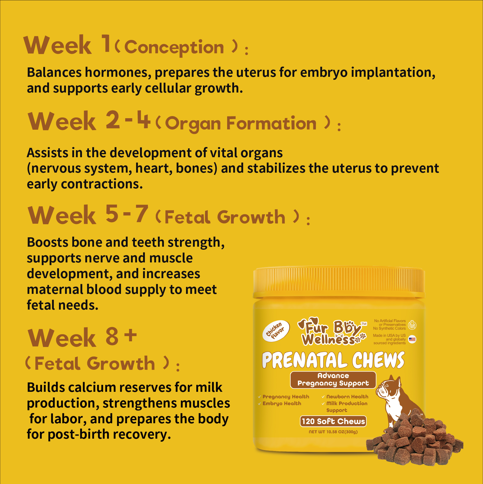 Prenatal Chews for Dogs – Essential Nutritional Support for Pregnancy & Puppies