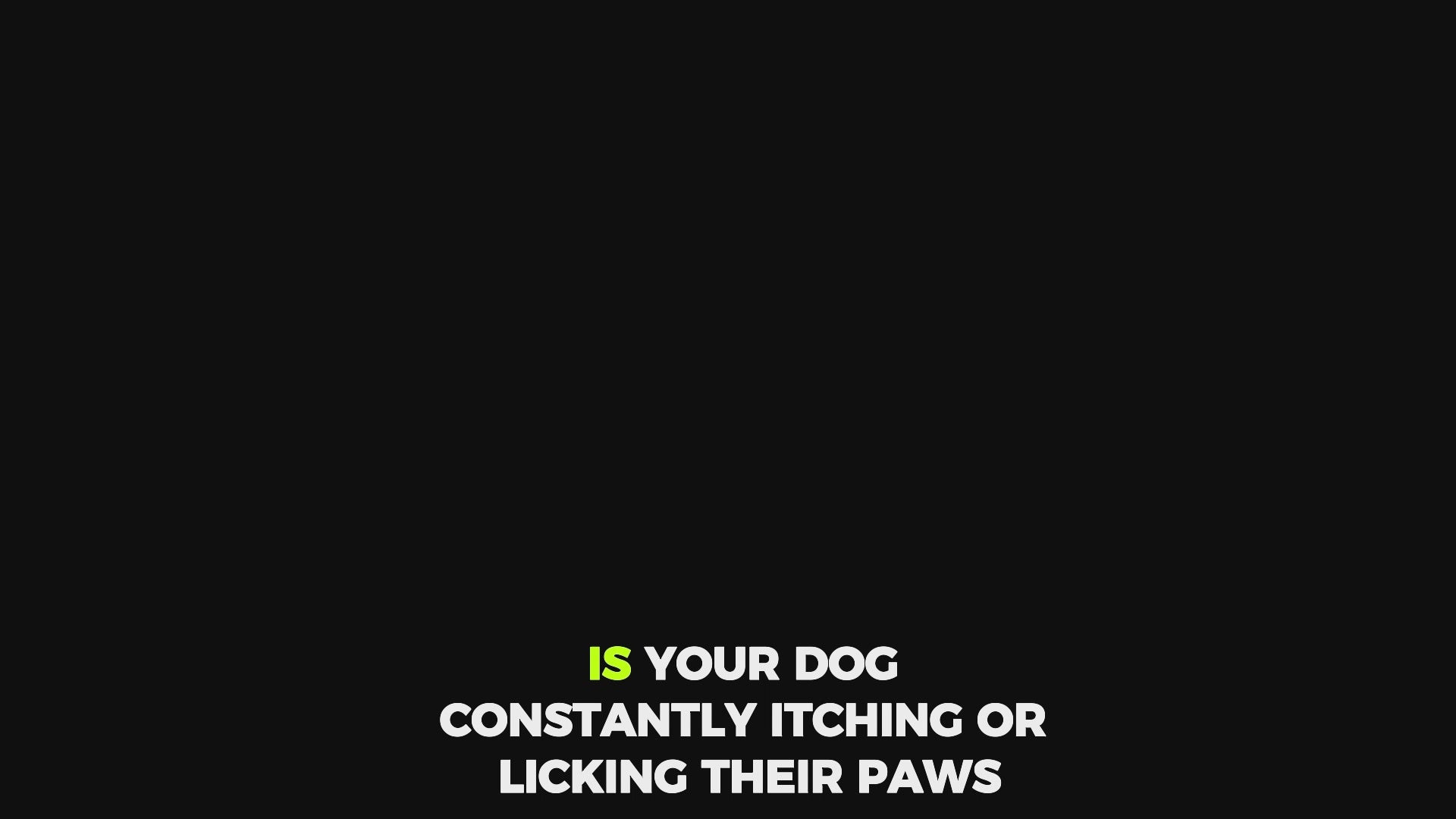Load video: Allergy chews for dog